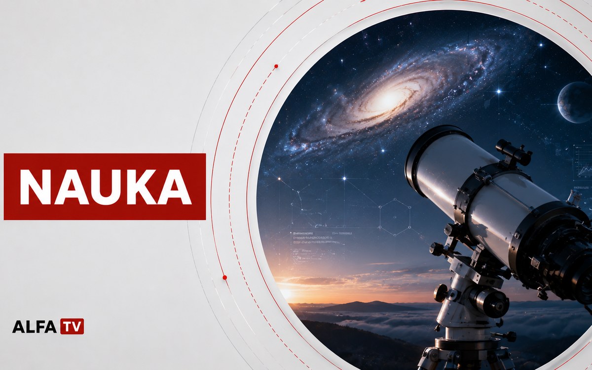 Kičme sabljastih tigrova iz tar jama u Los Angelesu otkrile tragove tumora i srodničkog parenja