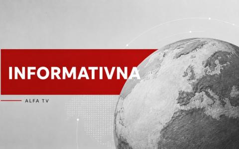 Osam oslica u kancelariji: radnica rezervata rastavila ogromno gnijezdo osa