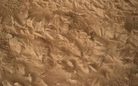 Curiosity počinje pripreme za bušenje na lokaciji "Nazca"