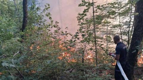 Na lokalitetu Pauč ponovo aktivan požar, vatrogasci i šumari na terenu