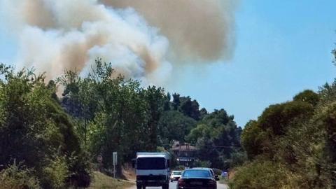 Porodice iz Srbije bježale od požara na Halkidikiju, potpuni stranci im pružili pomoć