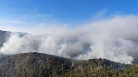 Požar na planini Risovac kod Bosanskog Grahova i dalje aktivan, u gašenje uključeni i hrvatski kanaderi
