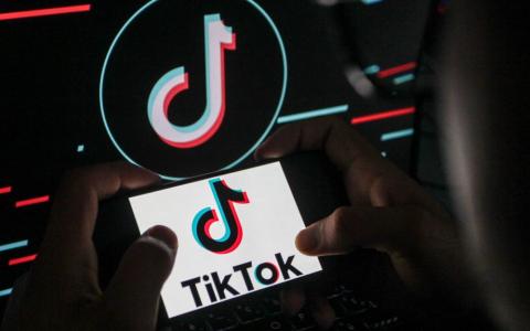 Pravosuđe SAD podiglo optužnice 28 nosilaca zelene kartice zbog glasanja, TikTok ignorisao upozorenja o djeci