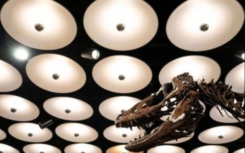 Skelet dinosaura pronađen na ranču u Montani prodan za 47,3 miliona dolara