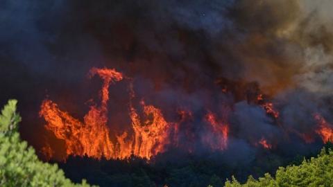 Veliki požar izbio na granici Srbije i Hrvatske, vatra zahvatila obje strane