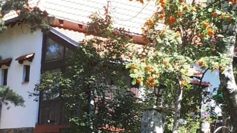 Vesna Čipčić pronašla mir u kamenoj kućici na planini nadomak Valjeva