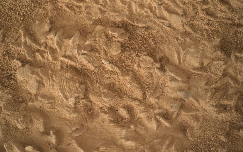 Curiosity počinje pripreme za bušenje na lokaciji "Nazca"