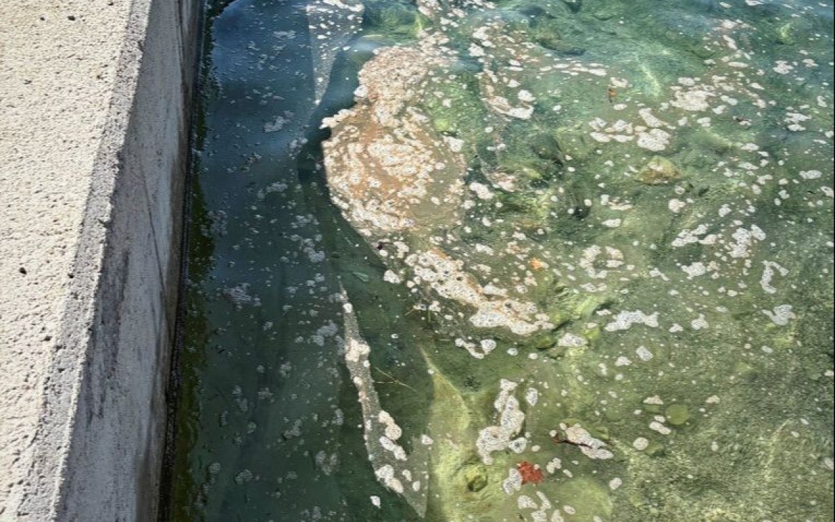 Kupači bježali s plaže na Krku nakon pojave sumnjivog smeđeg sadržaja u moru