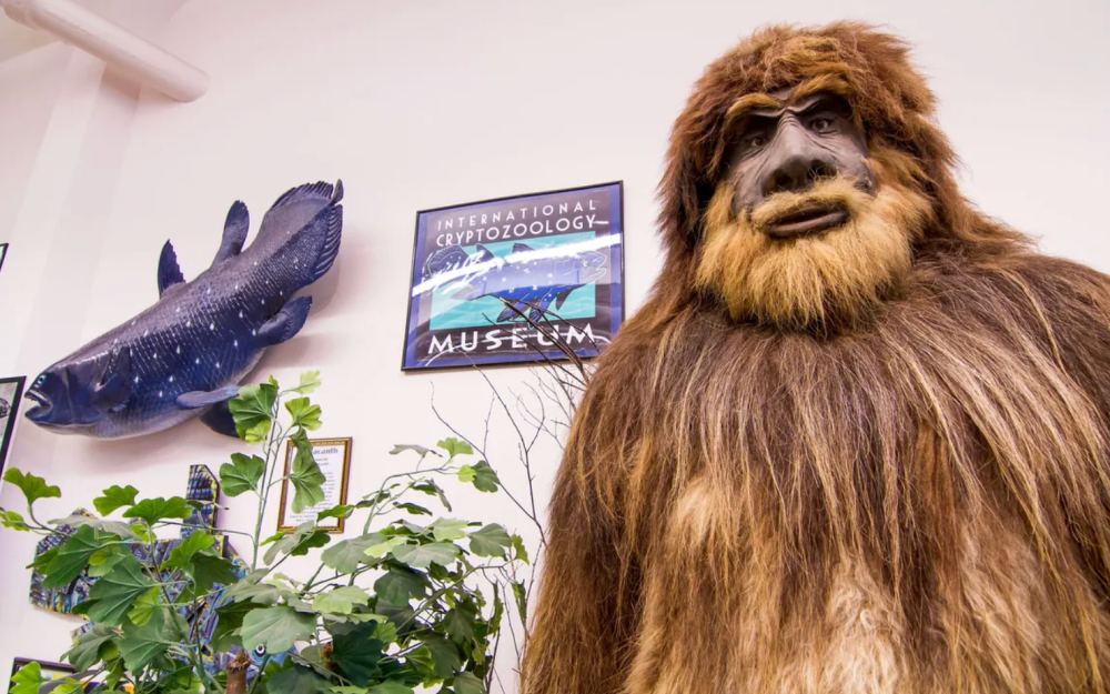 Muzeji posvećeni misterioznim stvorenjima: Amerikom raste turizam oko Bigfoota i sličnih legendi