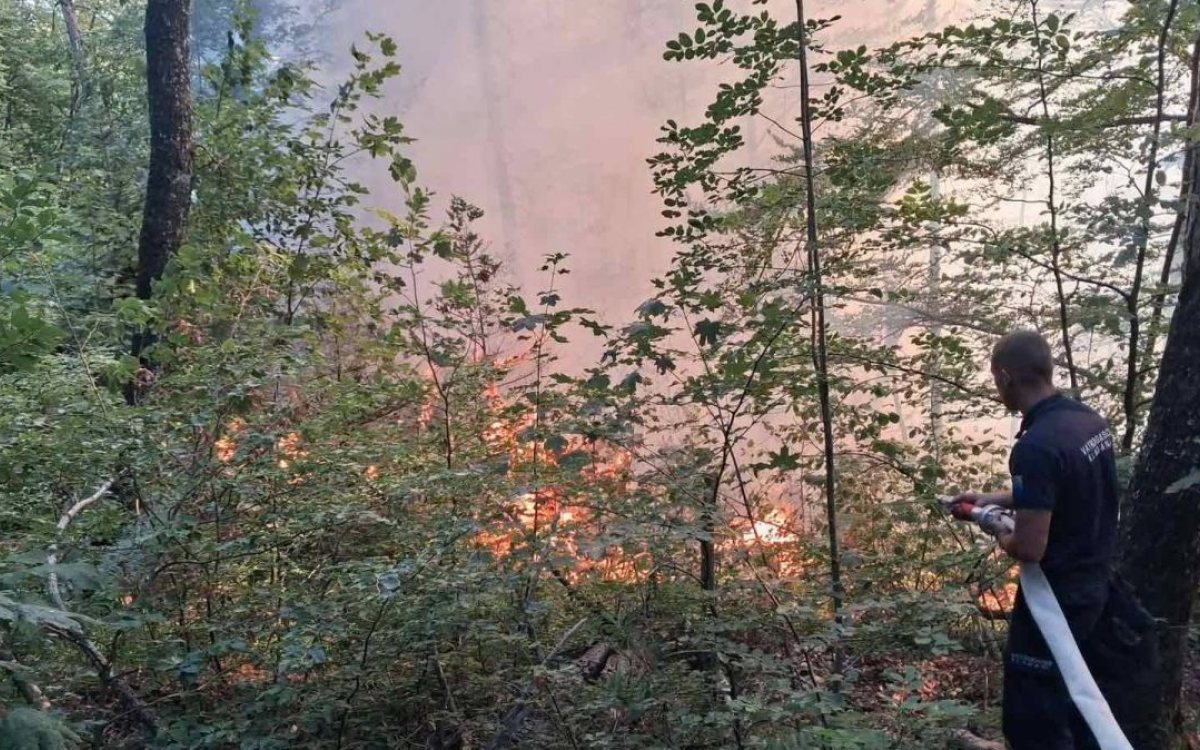 Na lokalitetu Pauč ponovo aktivan požar, vatrogasci i šumari na terenu