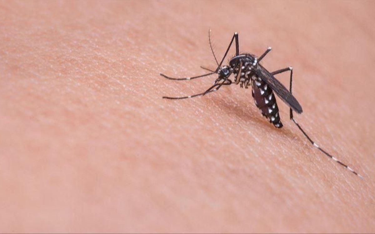 Peta žrtva groznice Zapadnog Nila u Sjevernoj Makedoniji, novi pacijenti pristižu svakodnevno