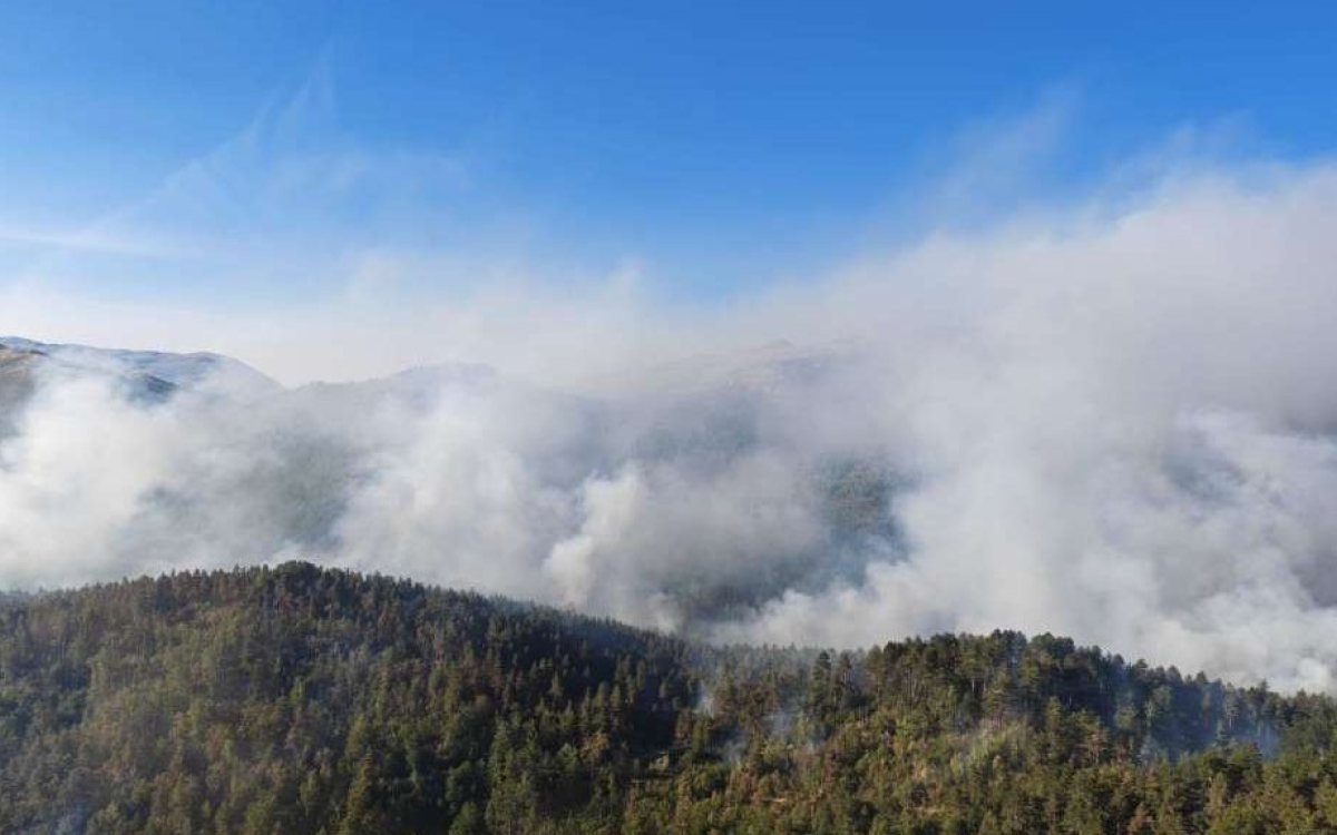 Požar na planini Risovac kod Bosanskog Grahova i dalje aktivan, u gašenje uključeni i hrvatski kanaderi