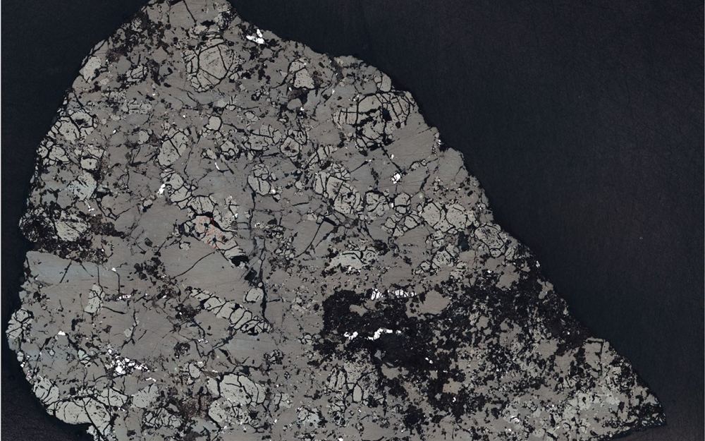 Presjek marsovskog meteorita Teghaza 001 otkriva priču o nastanku Marsa