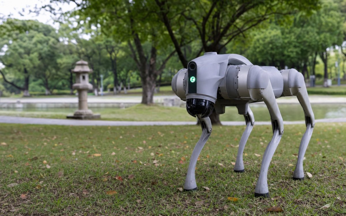 Robot pas od 4.000 dolara: šta može, a šta ne