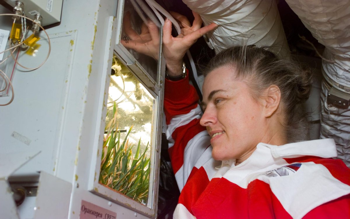 Shannon Lucid: rekordna misija američke astronaute na ruskoj stanici Mir