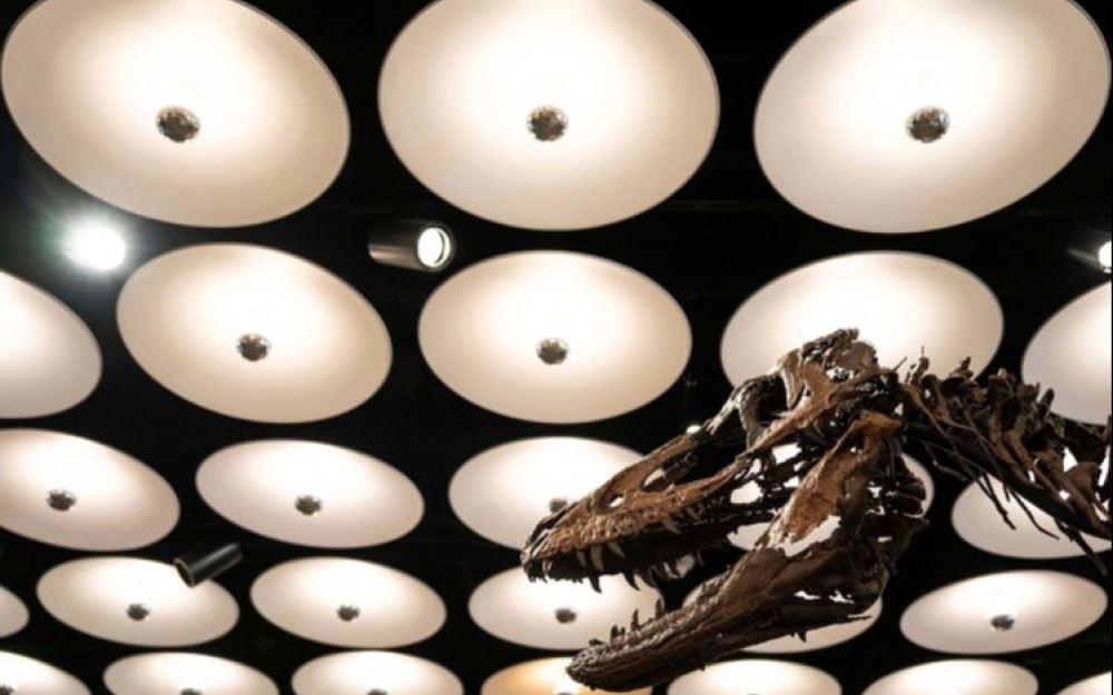 Skelet dinosaura pronađen na ranču u Montani prodan za 47,3 miliona dolara