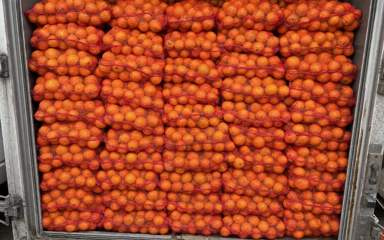 Spriječen nezakonit unos 4,5 tone mandarina iz Hrvatske, vozaču uručen prekršajni nalog