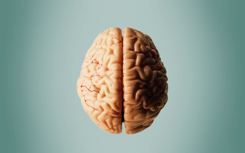 Tablete koje imitiraju nedostatak kisika poboljšale pokretljivost miševa s Parkinsonom