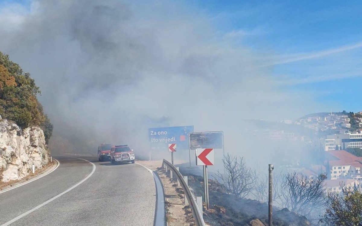 Vatrogasci ugasili požar ispod Jadranske magistrale u Neumu