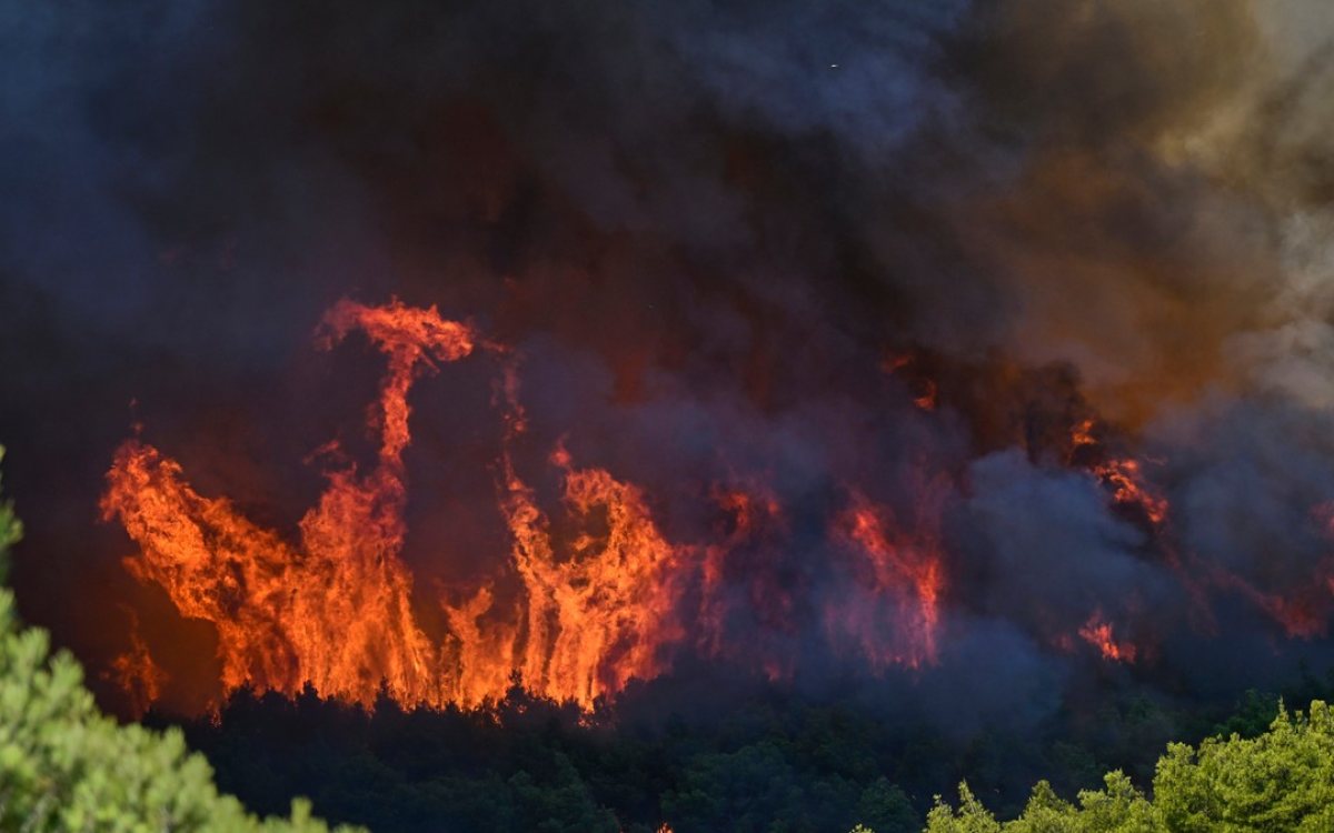 Veliki požar izbio na granici Srbije i Hrvatske, vatra zahvatila obje strane