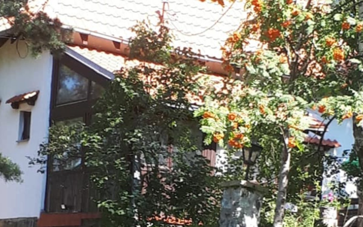 Vesna Čipčić pronašla mir u kamenoj kućici na planini nadomak Valjeva