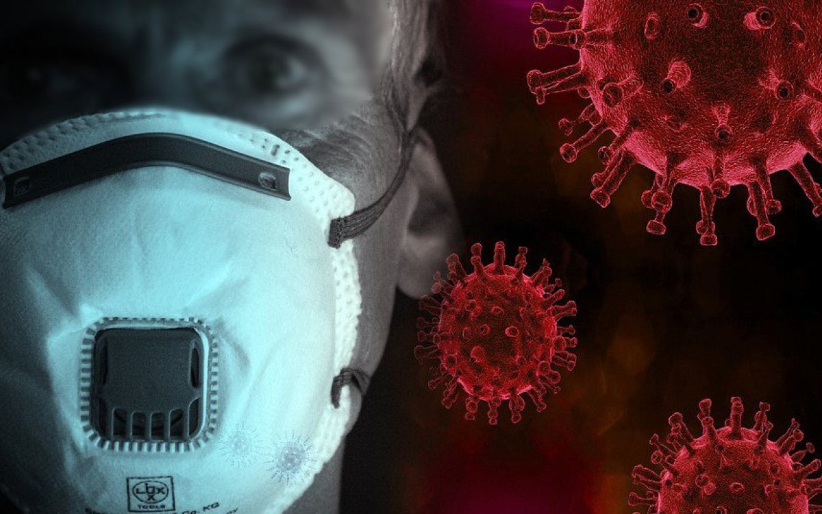 Virus Zapadnog Nila potvrđen u Srbiji: na koje simptome nakon uboda komarca treba obratiti pažnju