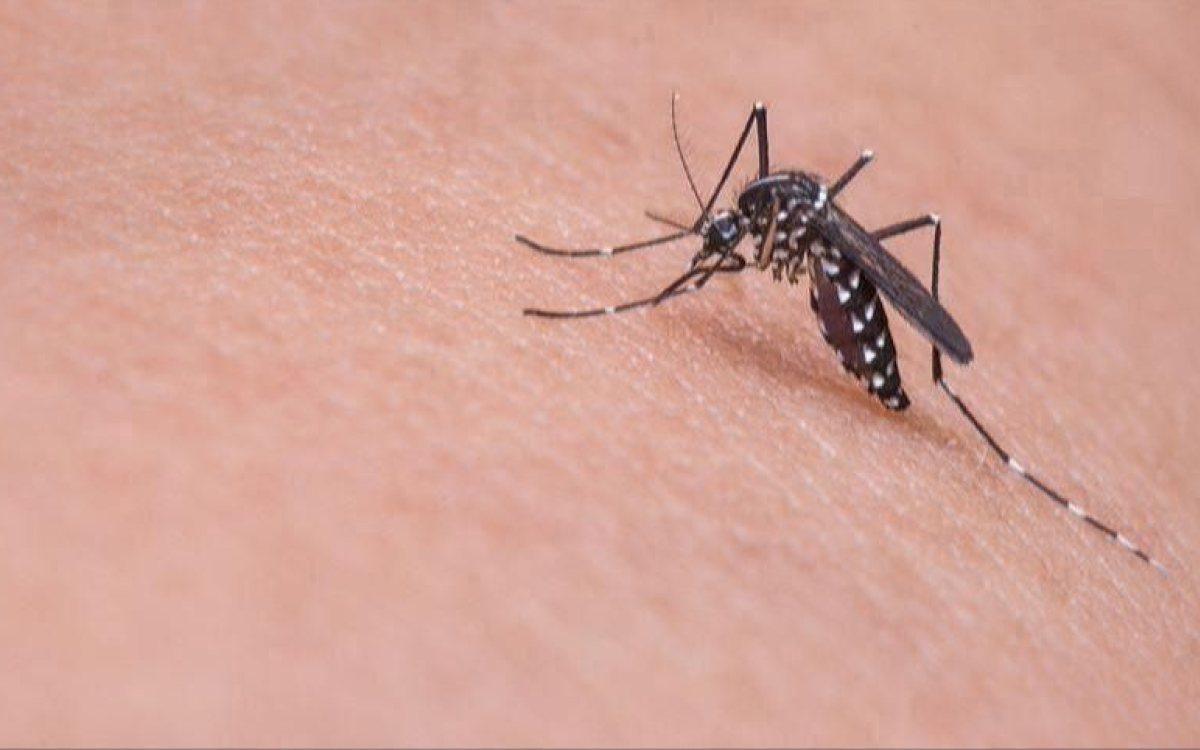 Virus Zapadnog Nila širi se Evropom: Registrovano više od hiljadu zaraženih u 15 zemalja