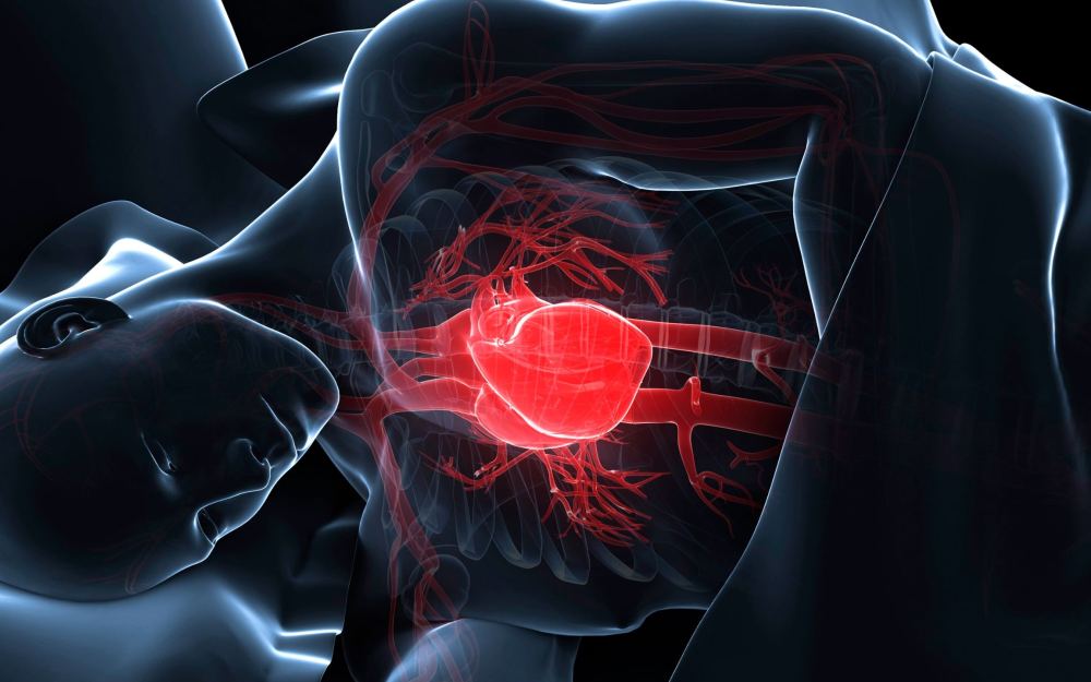Vještačka inteligencija iz EKG-a tokom sna može predvidjeti rizik od srčanih bolesti i smrti u narednih deset godina