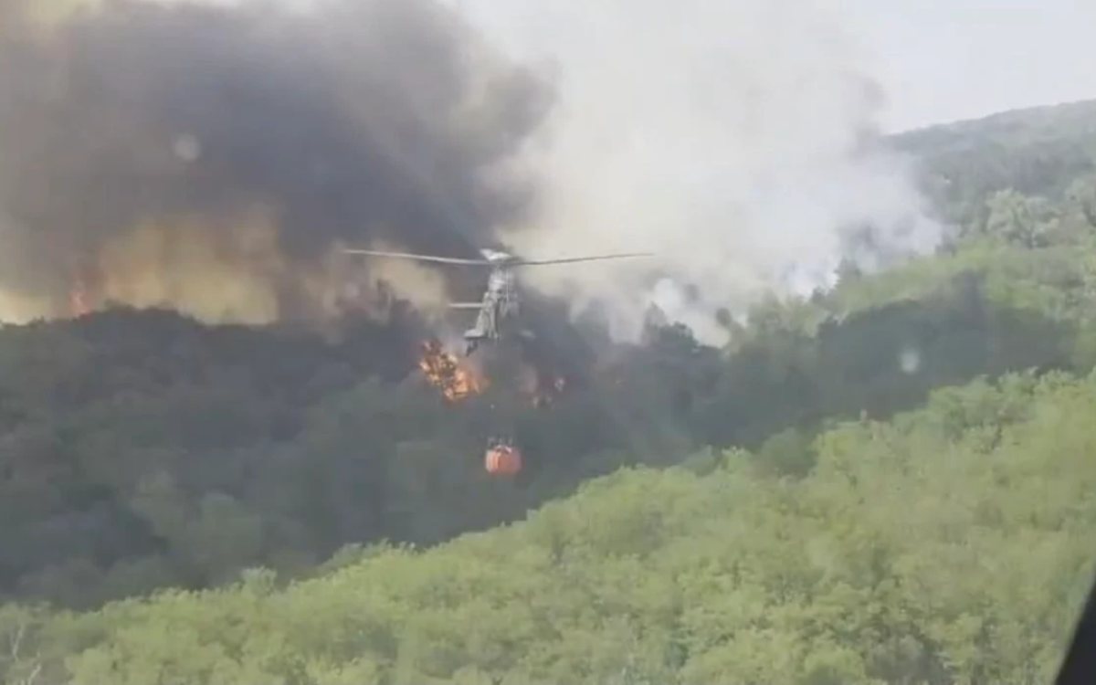 Vjetar širi požar u Deliblatskoj peščari, tri helikoptera u akciji gašenja